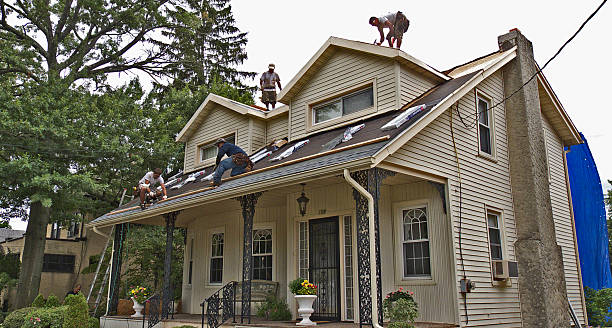 Best Commercial Roofing Services  in New Madrid, MO