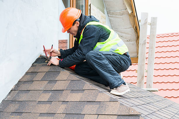 Best Roof Maintenance Services  in New Madrid, MO