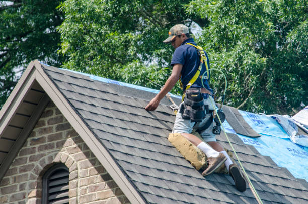 Quick and Trustworthy Emergency Roof Repair Services in New Madrid, MO